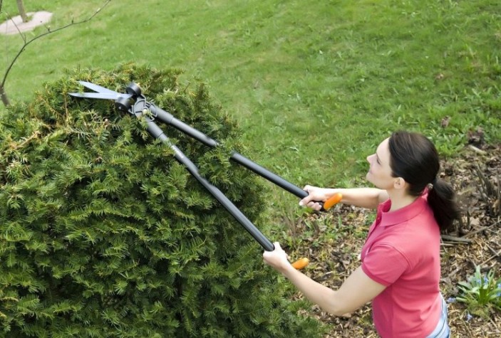 Ножницы для травы и живой изгороди FISKARS GS53 1001565 [1001565]